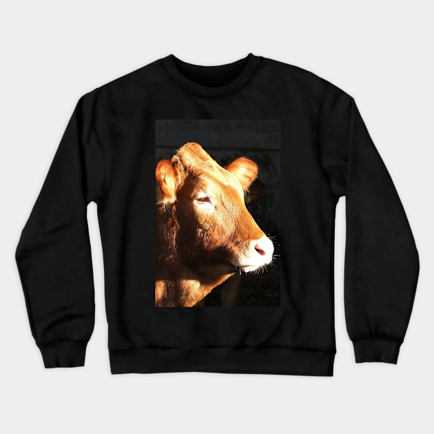 I Think This Is My Better Side Crewneck Sweatshirt by AH64D